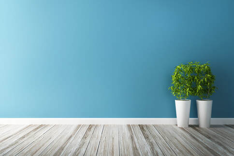 blue wall with 2 potted plants and hardwood floor